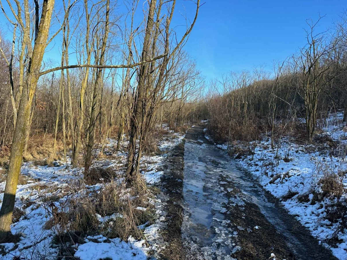 Locust Gap 75 photo 5