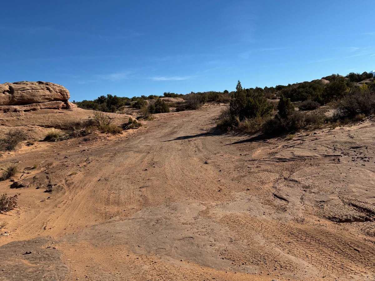 Willow Springs Trail and Dinosaur Tracks photo 4