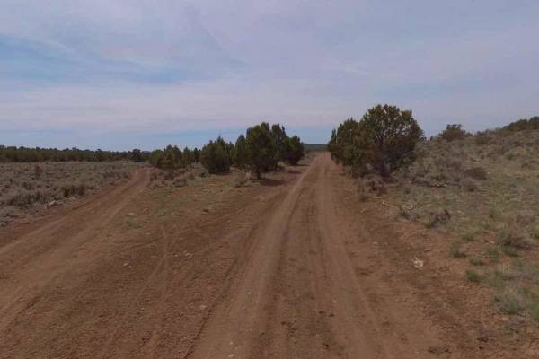 Dixie National Forest-FR30875