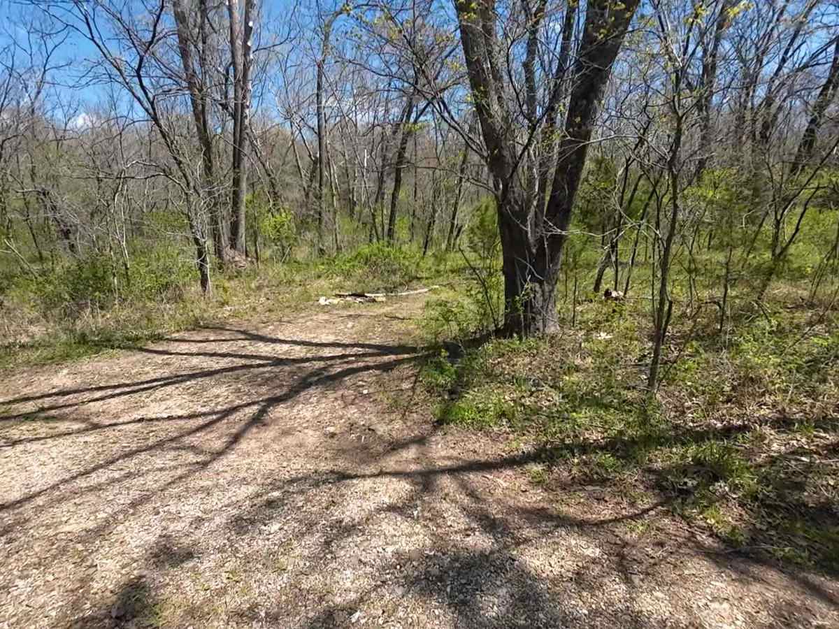 West Boundary FR 1672 trail photo
