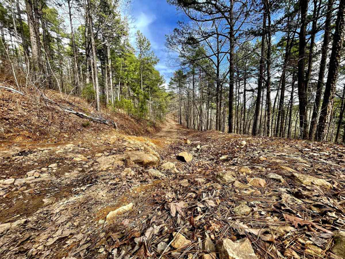 Muse Mountain Road trail photo