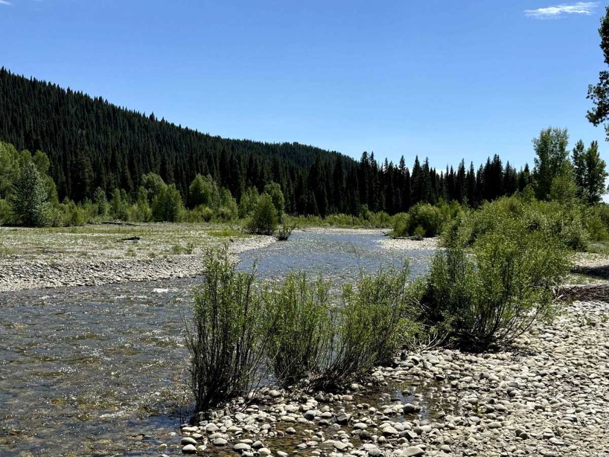 Pacific Creek Wilderness Road photo 6