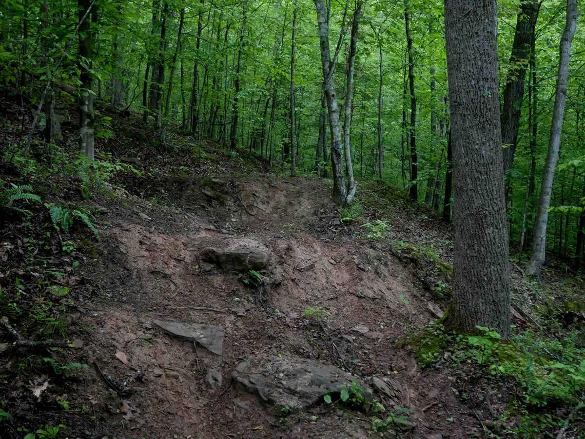 T14 trail photo