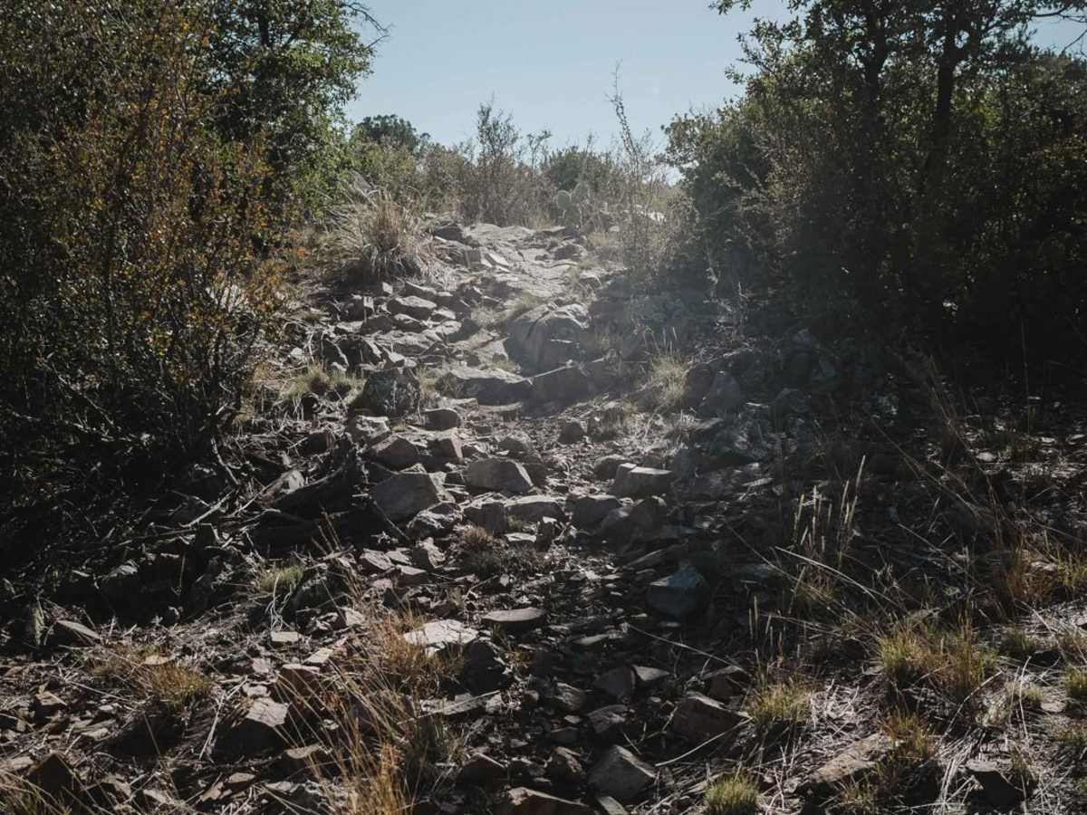 Puke Hill trail photo