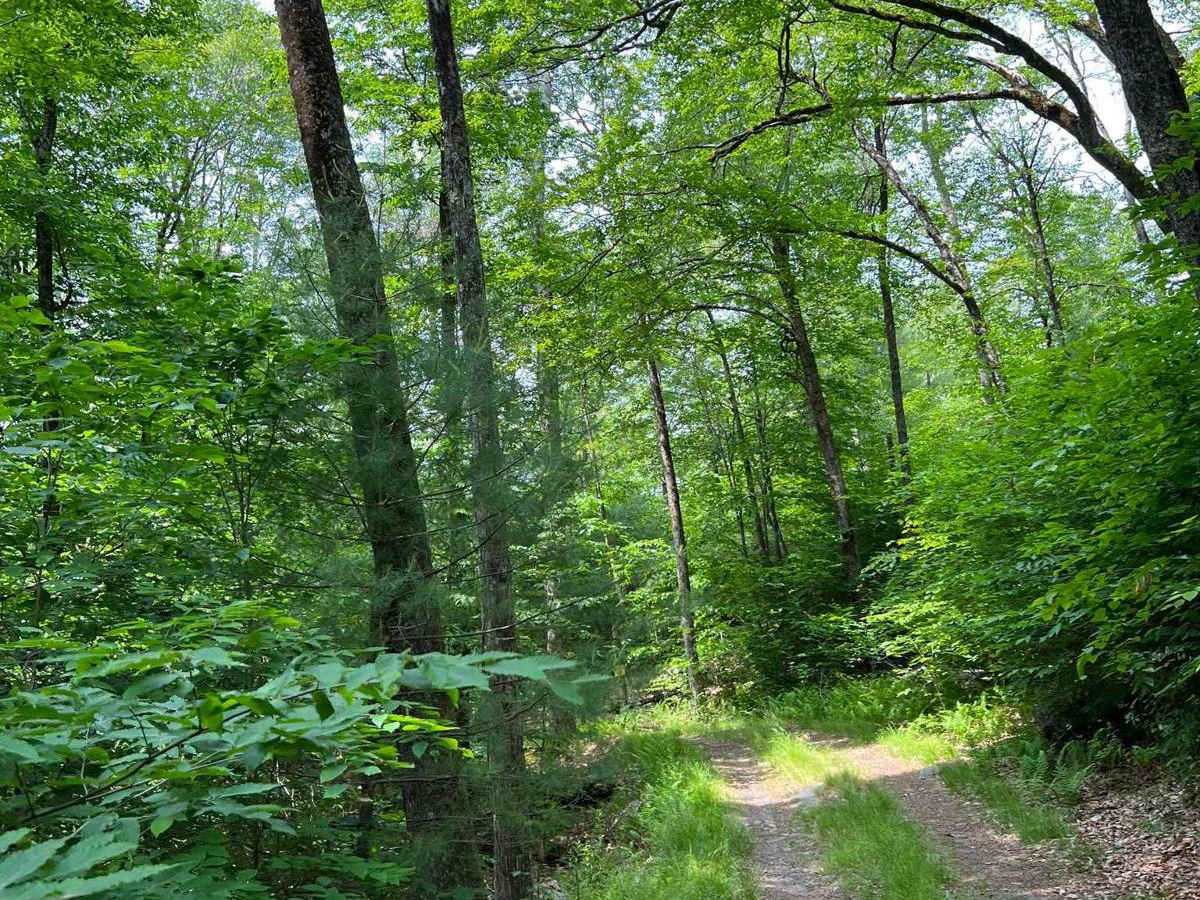 Tannery Road trail photo
