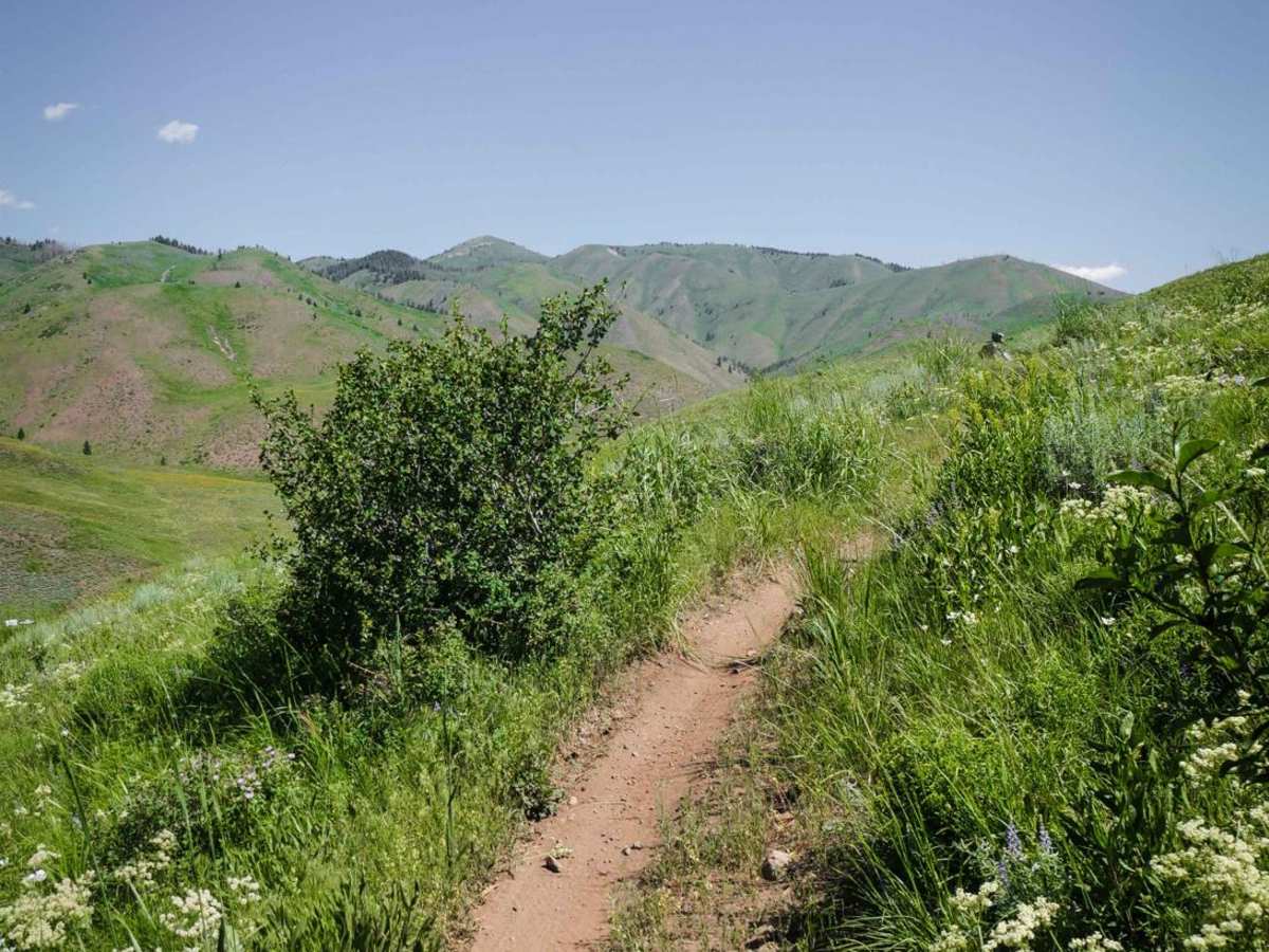Imperial Gulch trail photo