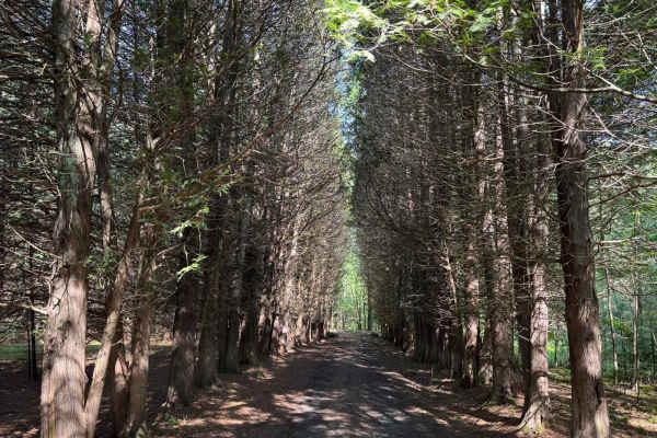 Eastern Boundary Trail