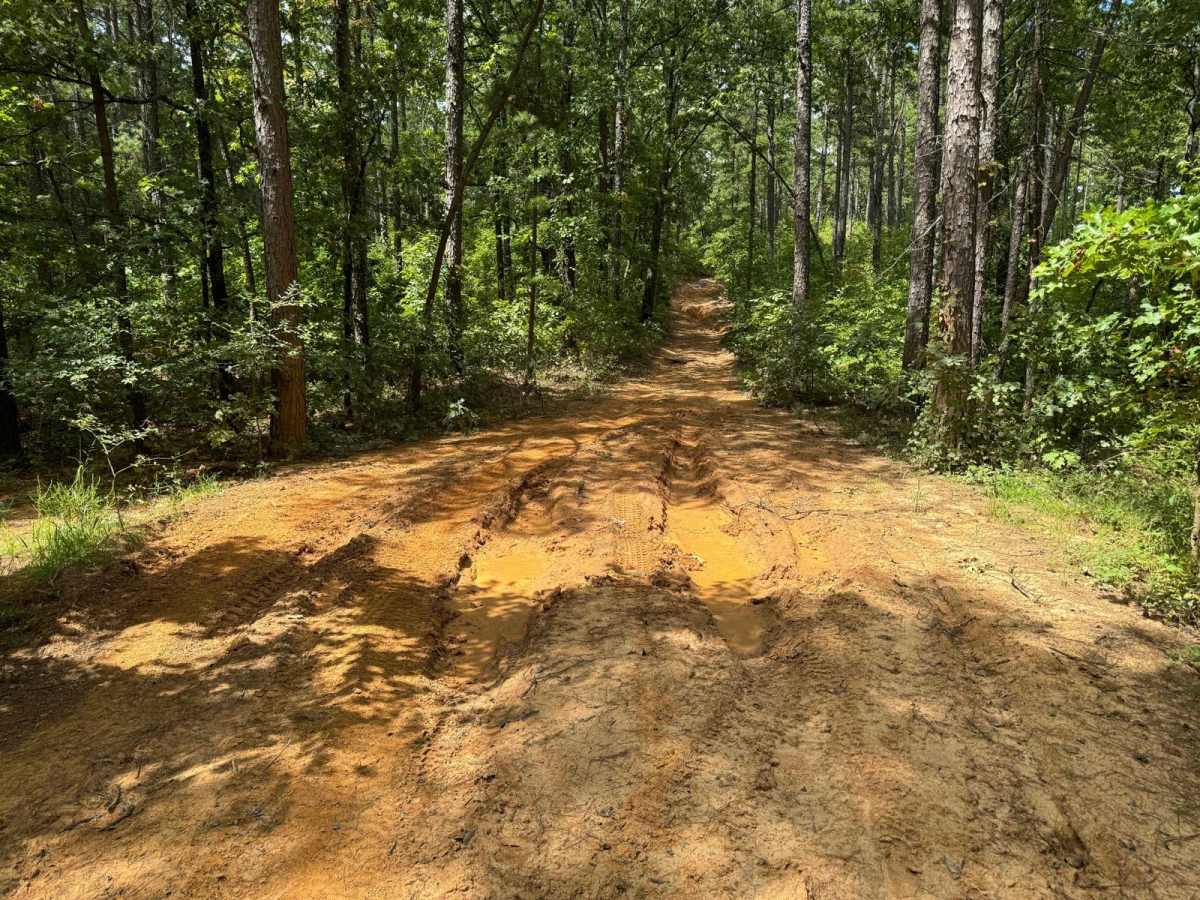Smoluck - Trail 1653 photo 4