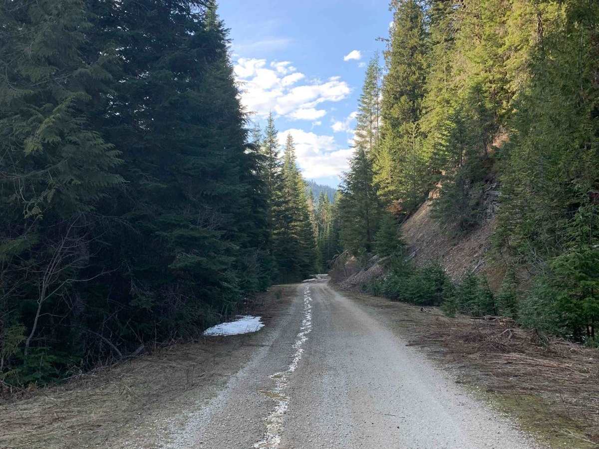 Brown Creek/Downy Creek (207) photo 4