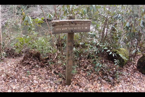 Duckett Ridge FSR #22B