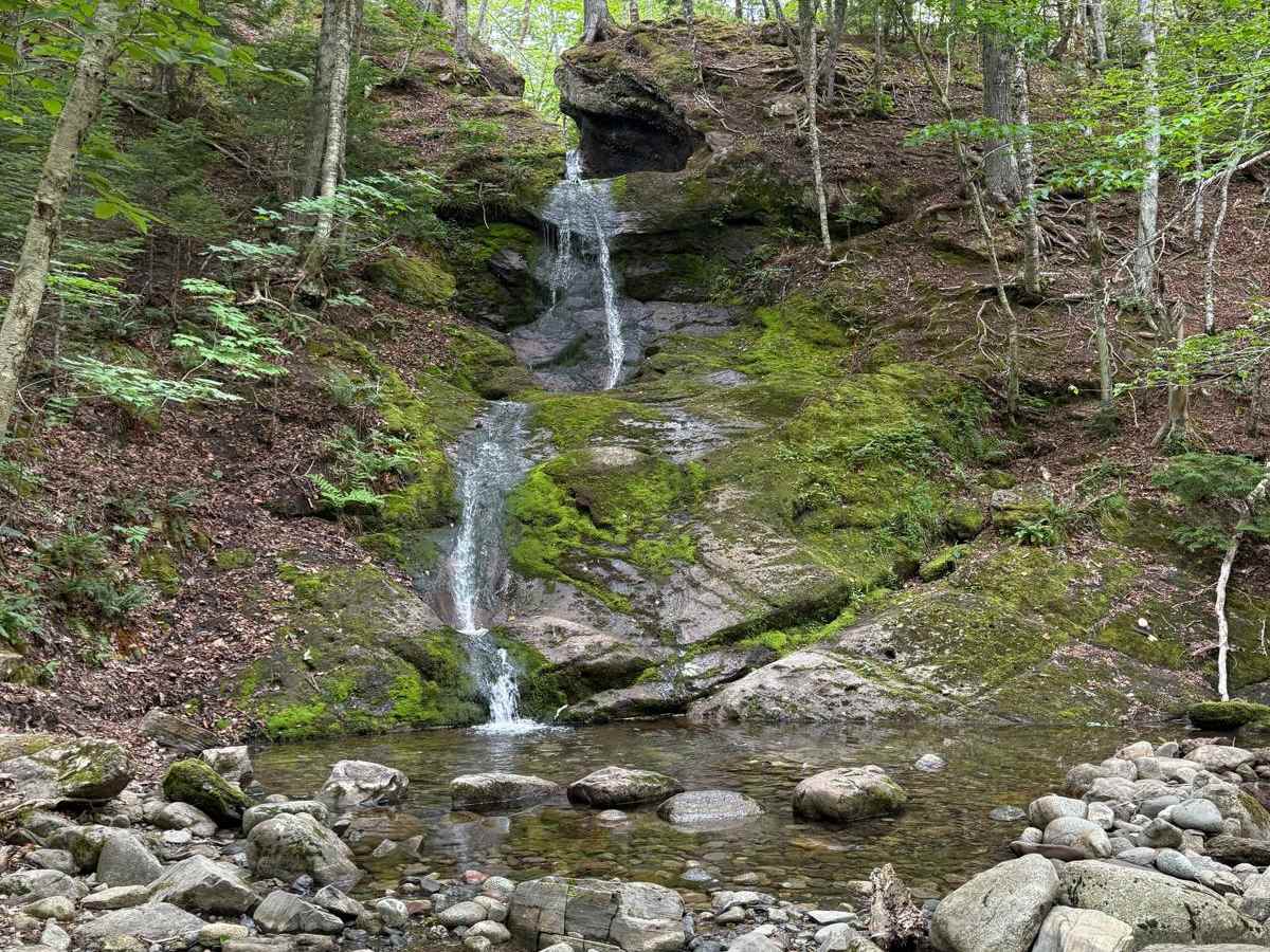 River Denys Mountain Road trail photo