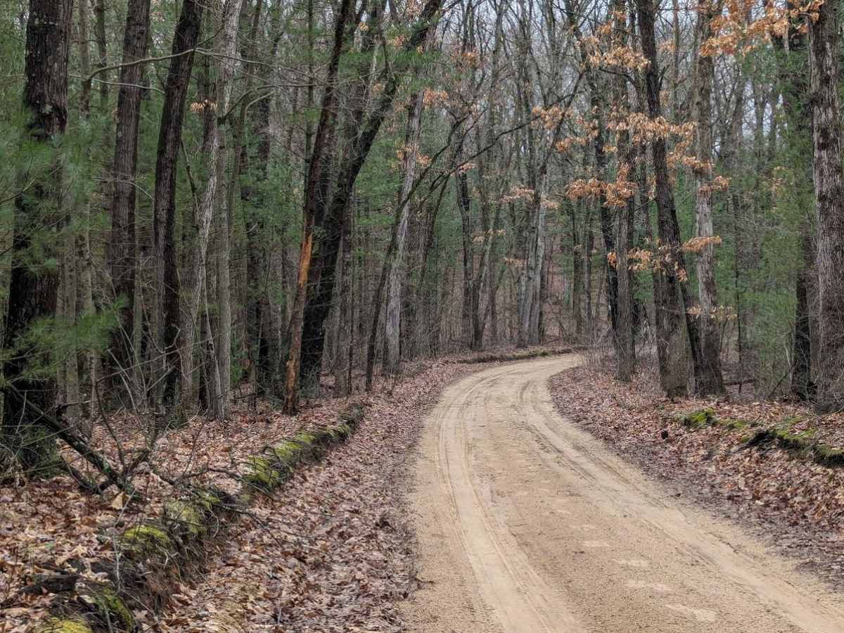 Allegan Forest 120th Street to 44th Street photo 5