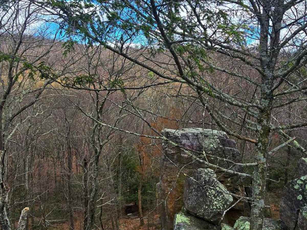Swift Run Road photo 4