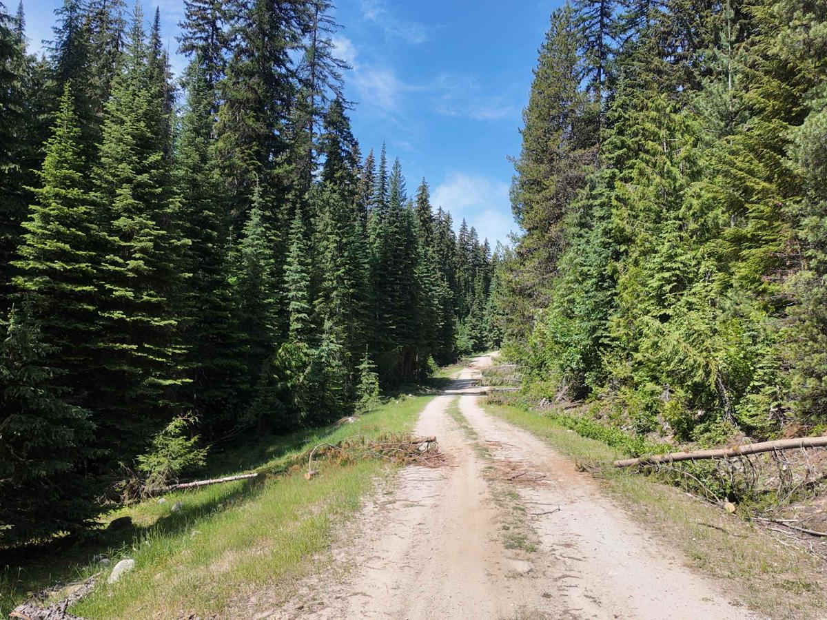 Bugle Pass photo 4