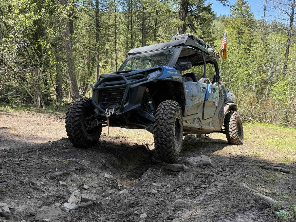 June Creek Trail trail photo