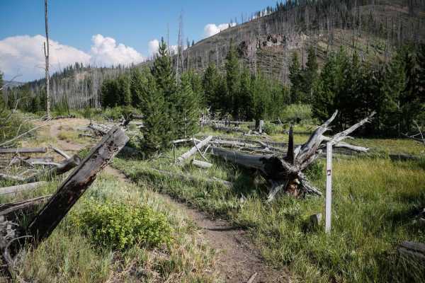 Deadwood Creek