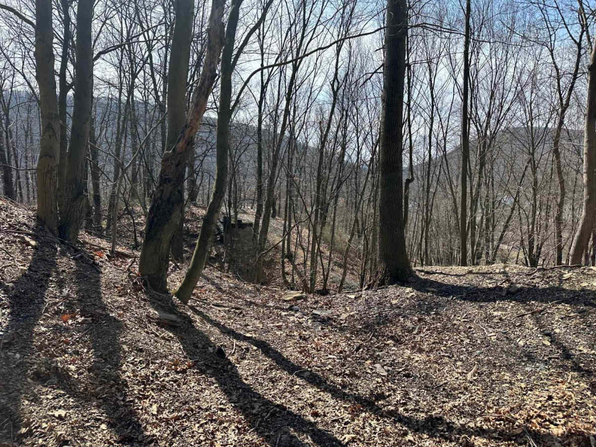 Ashland 11 photo 5