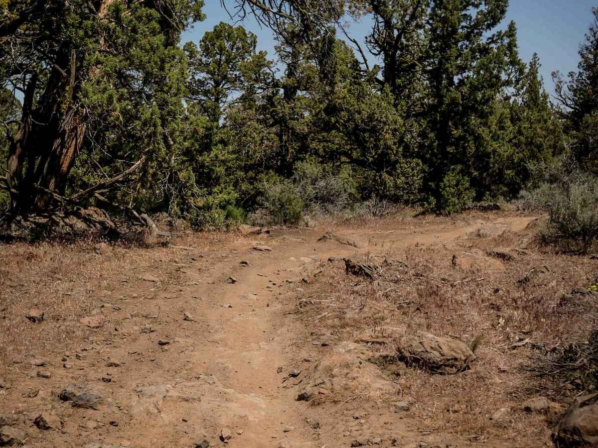 35 trail photo