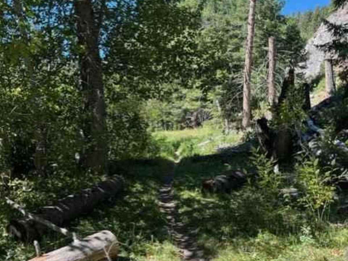Oregon Gulch to Fox Peak photo 3