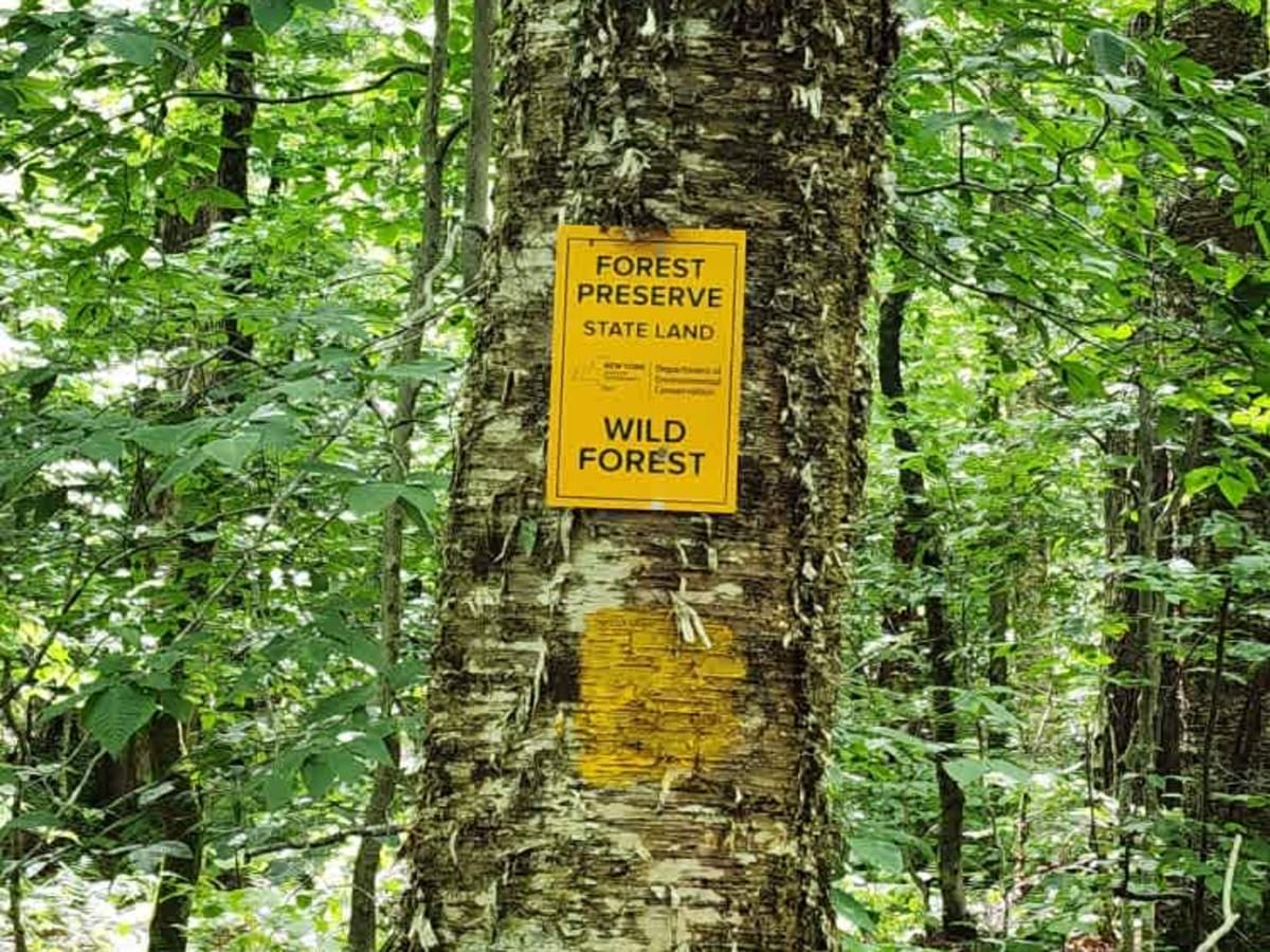 Flansberg Trail photo 2
