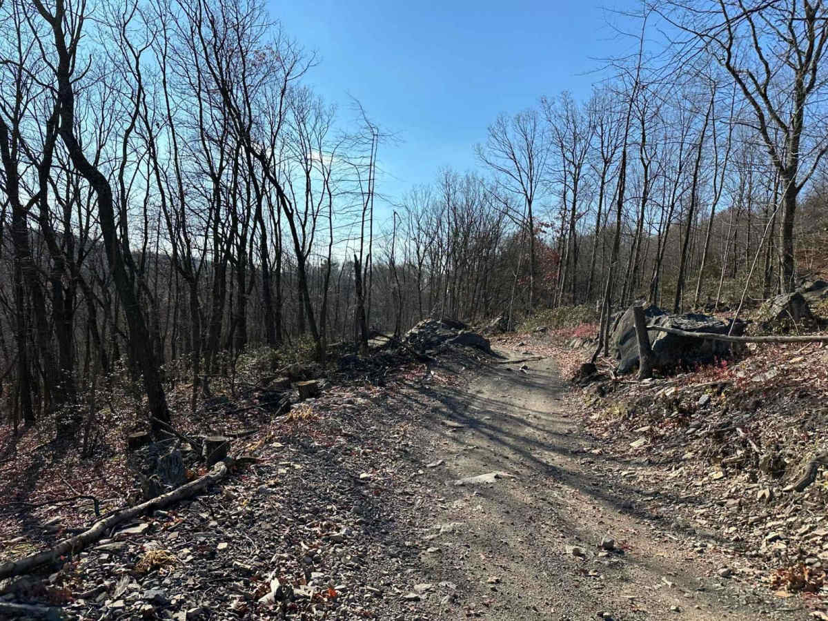 Darkwater 86 trail photo