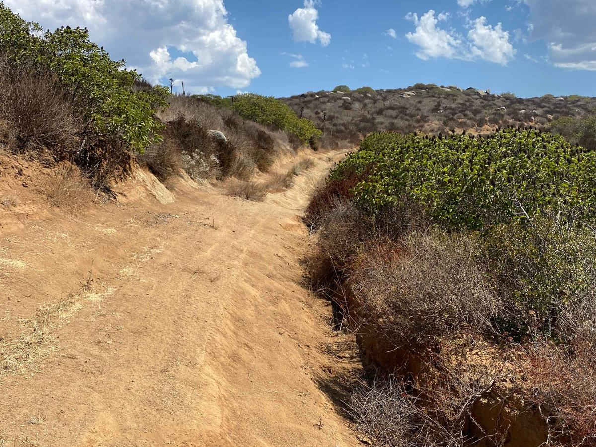 East Crossover trail photo