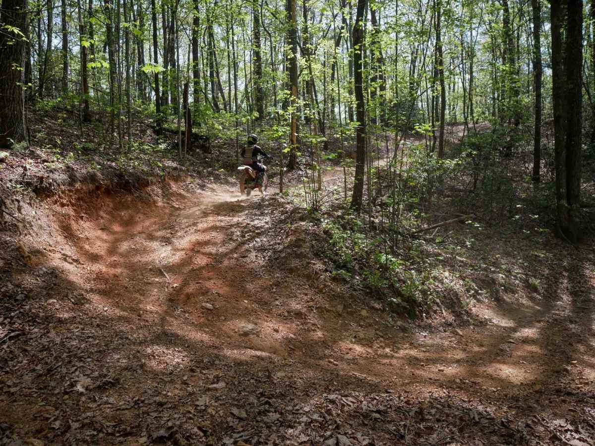 Sally Free Trail J photo 2