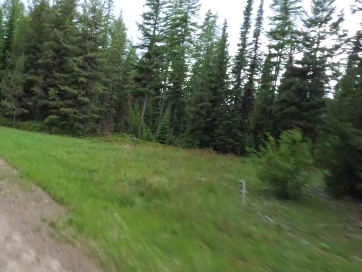 Siegel Pass-Nine Mile Rd photo 5