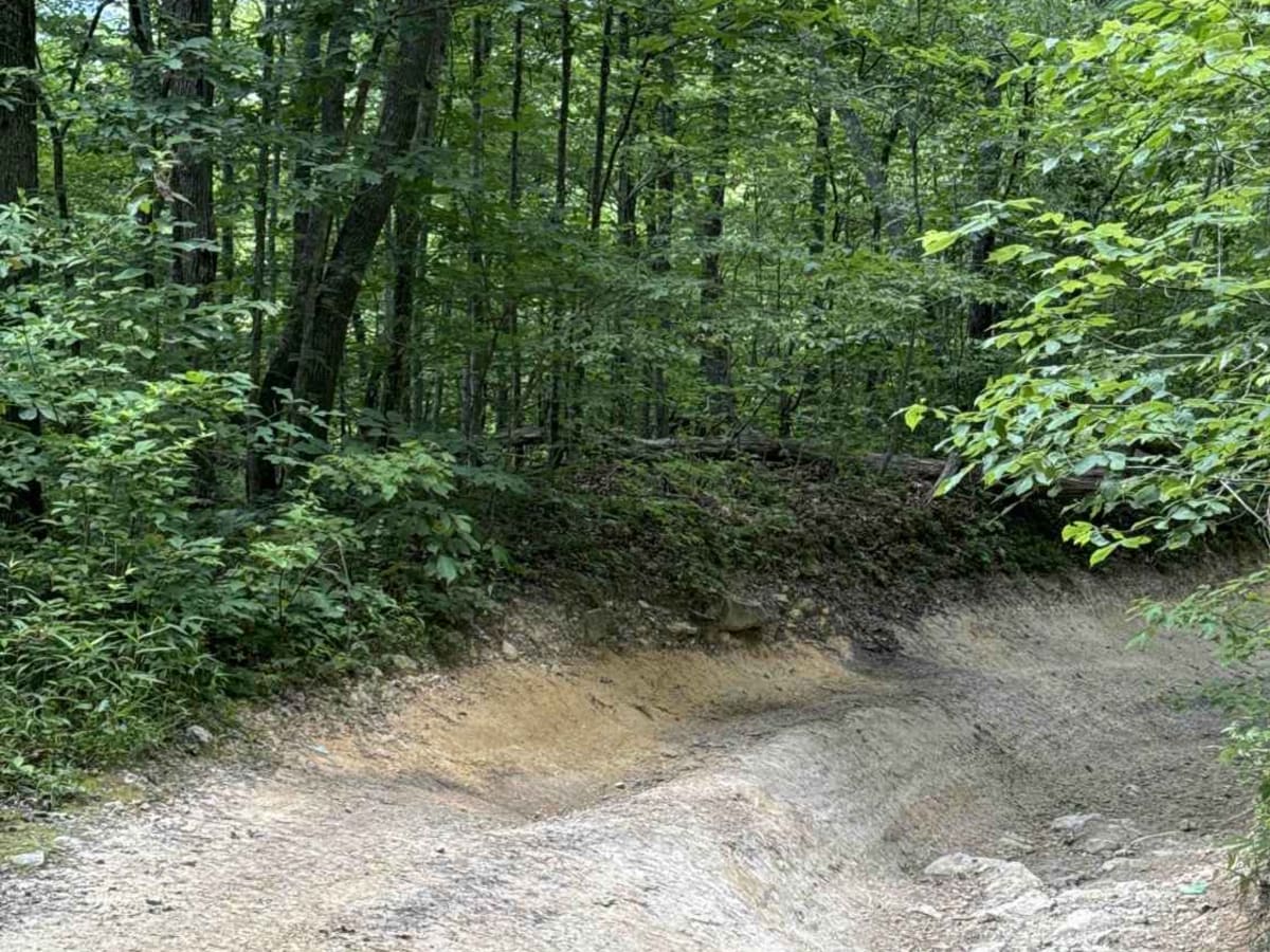 Simon Hill Road trail photo