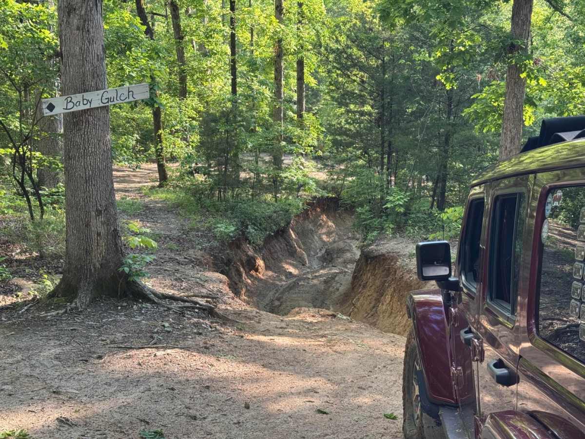 Baby Gulch trail photo