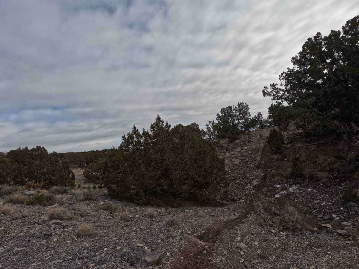 505 trail photo