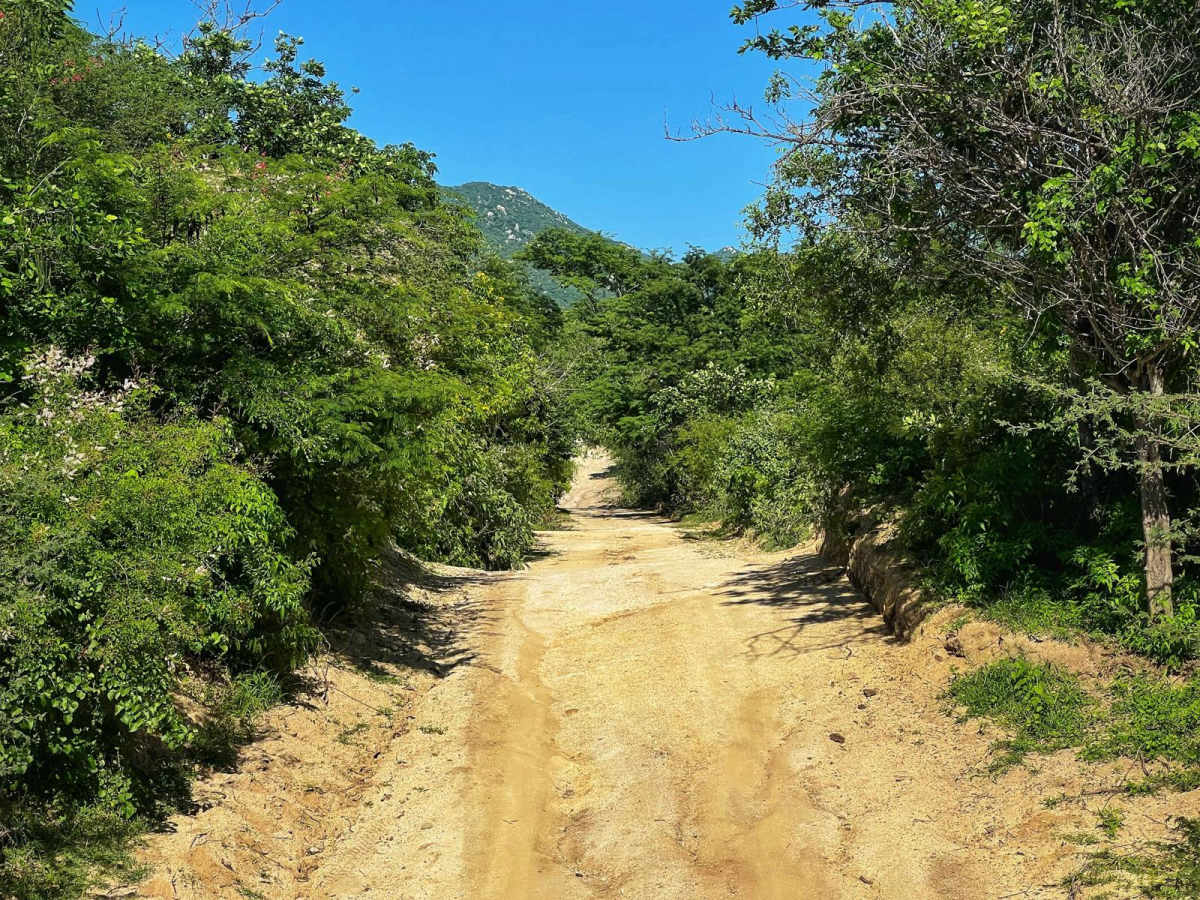 San Felipe photo 4