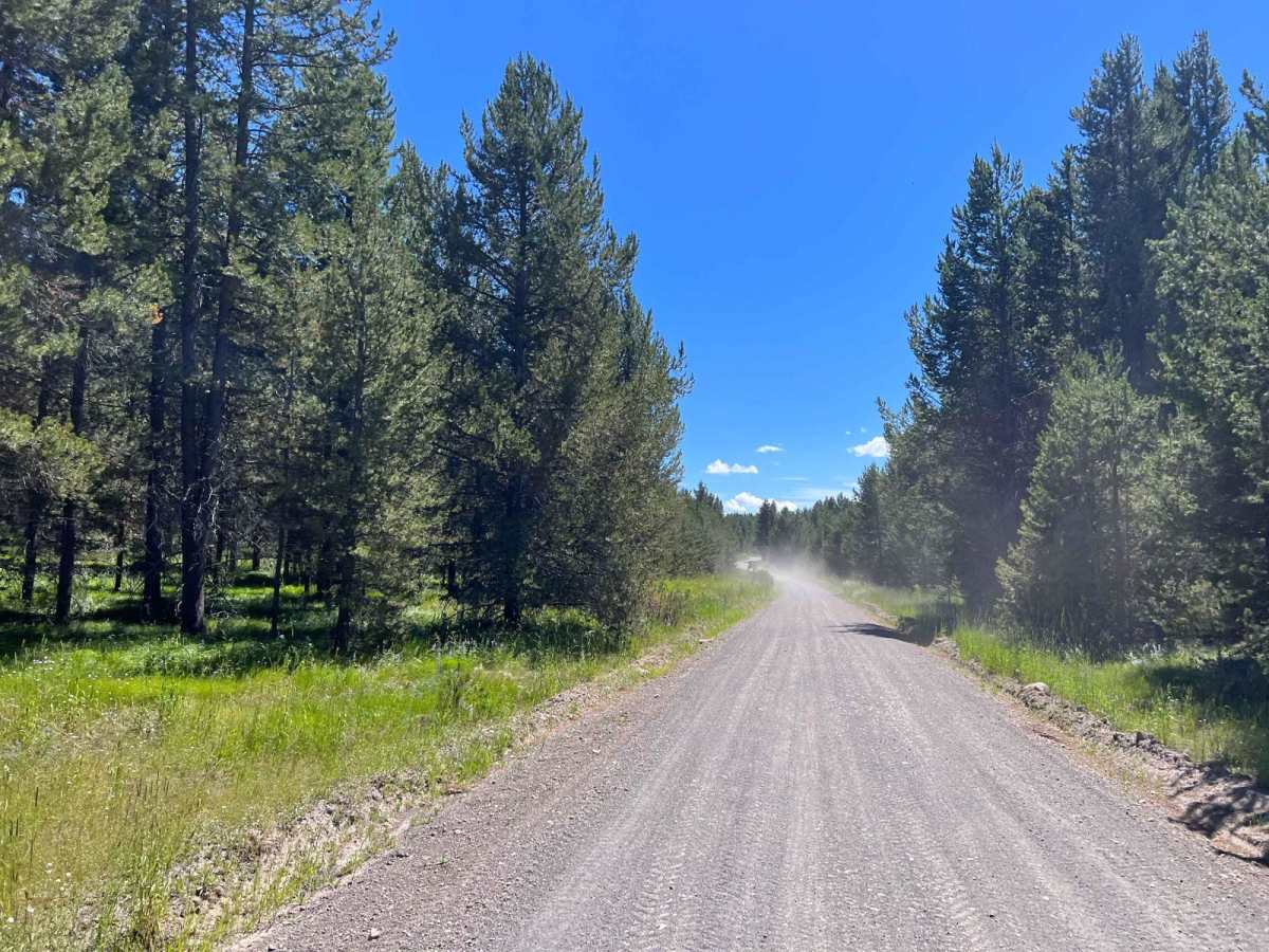 South Fork Madison Road (478) photo 4