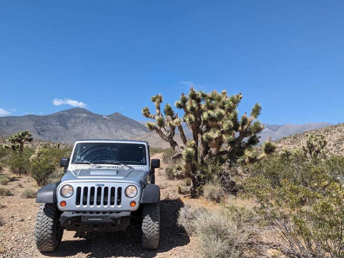 Trout Canyon to Highway 160 trail photo