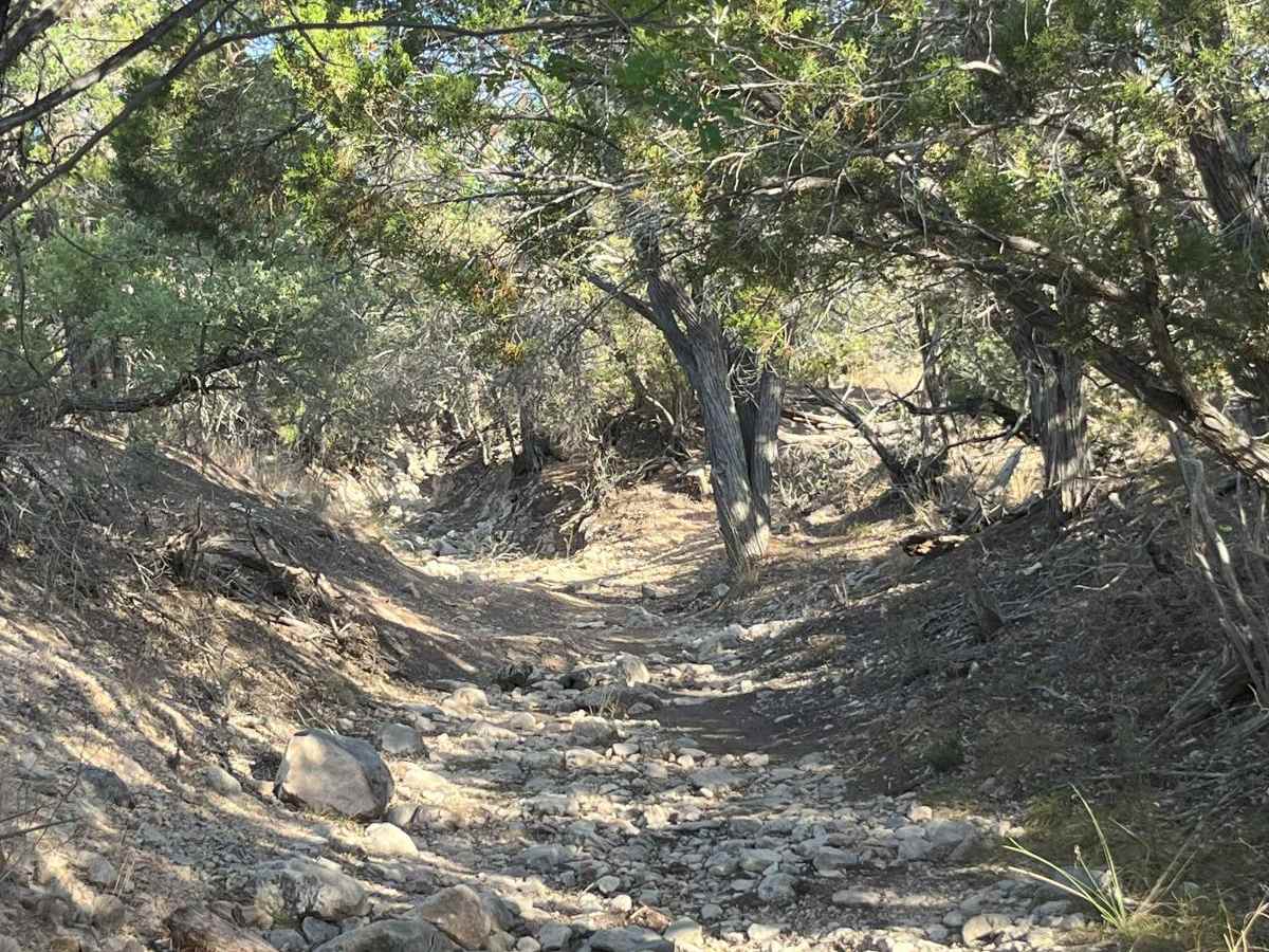 Tank Trap Trail - V31 photo 2