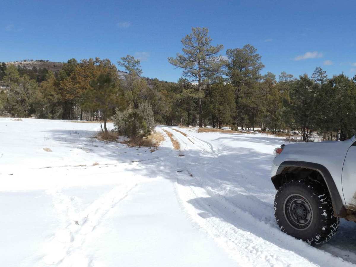 Burnt Can trail photo
