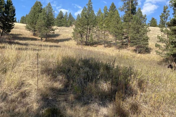 Placid Creek Road