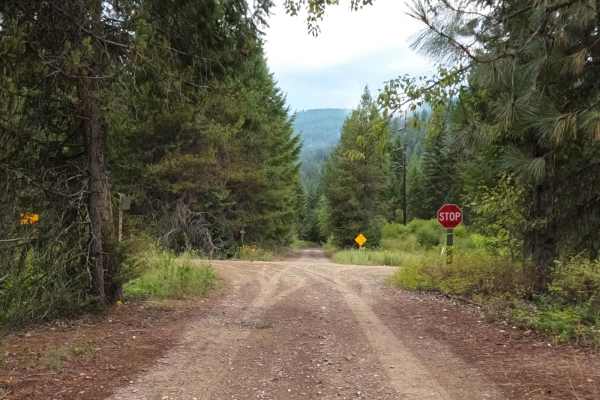 Little Joe Road