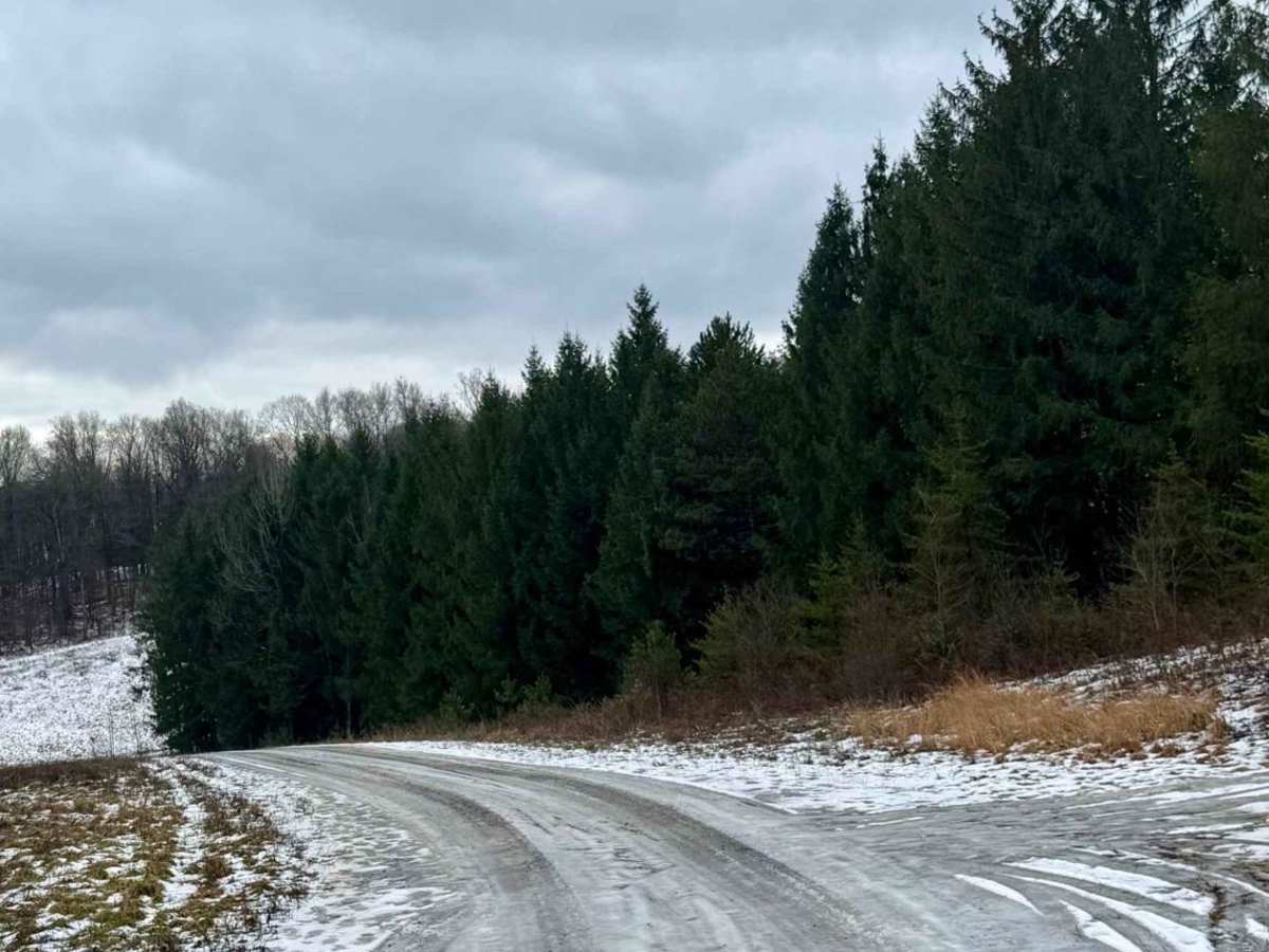 Countyline Road photo 4