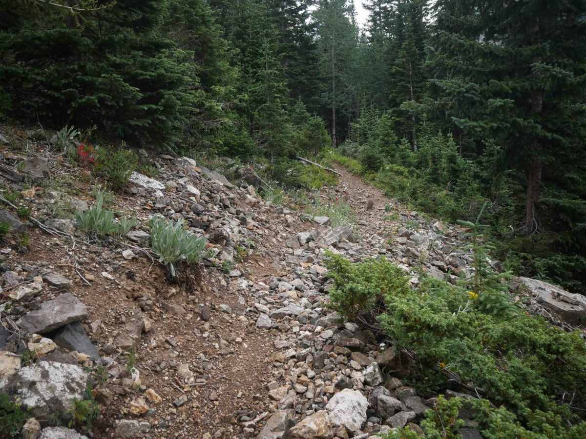 Jack Park Trail photo 6