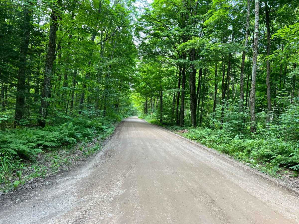 Roberts Lake Road - FS 2144 - Northern Half photo 3