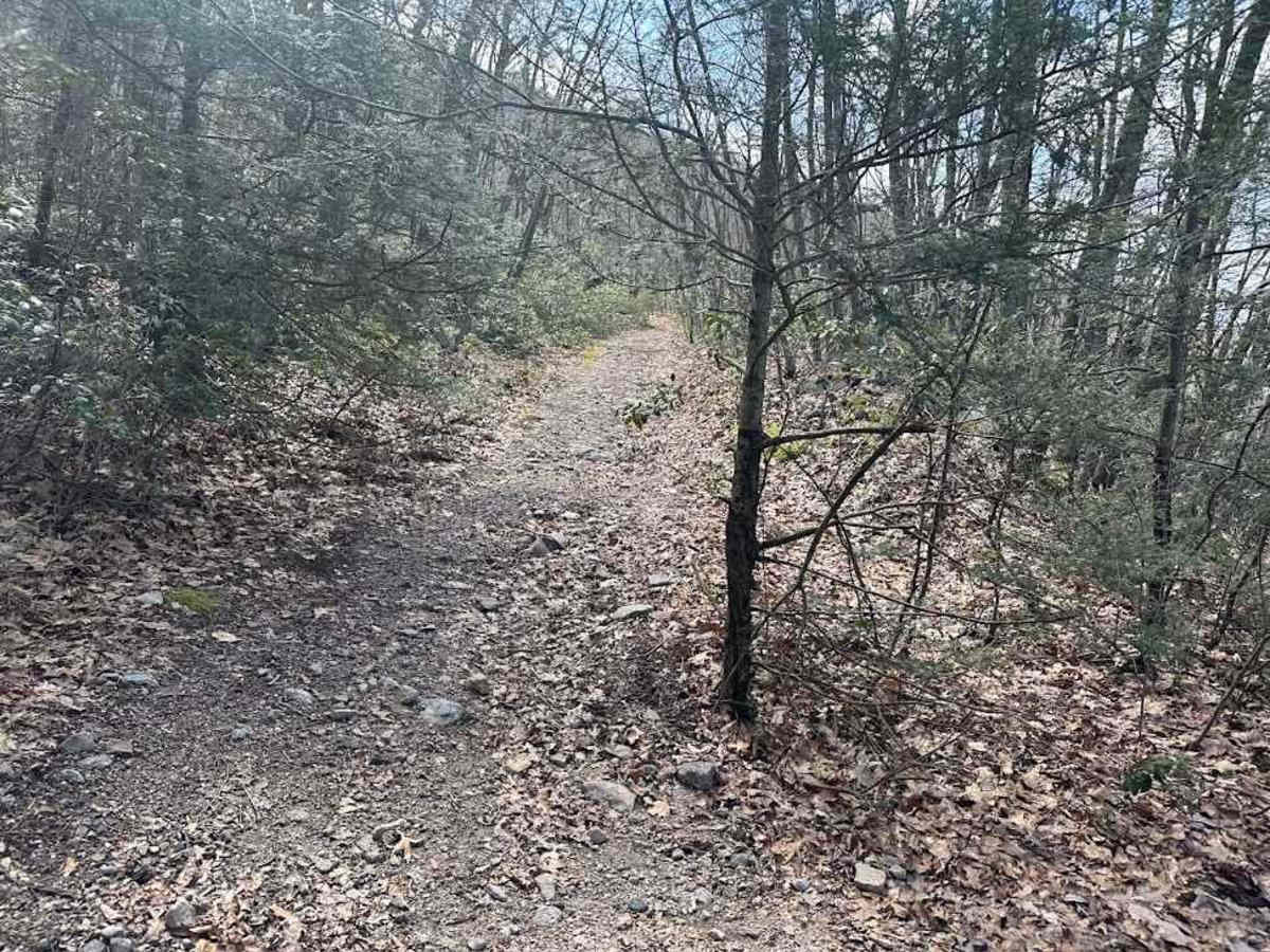 Ashland 126 photo 4