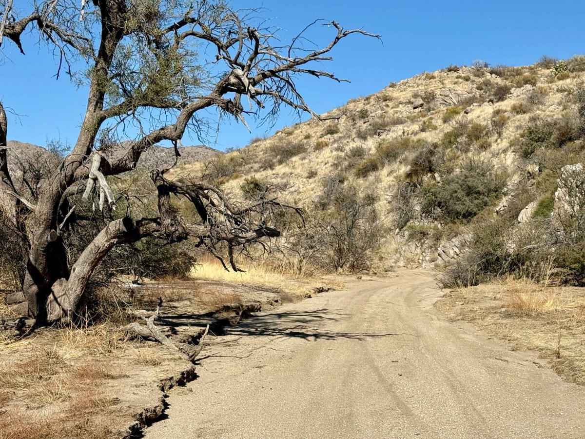 Miller Wash to the Lumpy Rocks photo 2