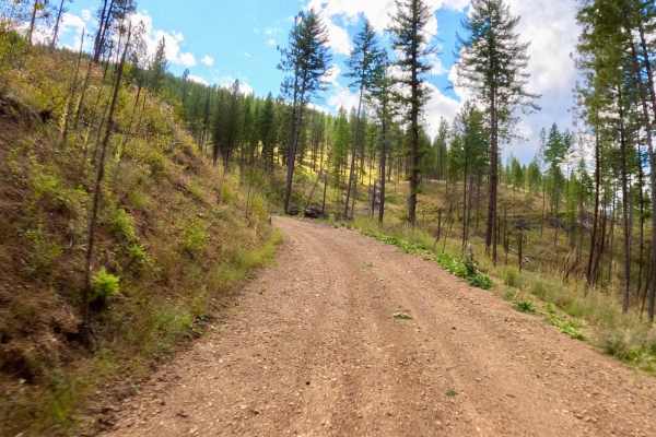 Second Creek Road-Eddy Creek Road 4 Corner