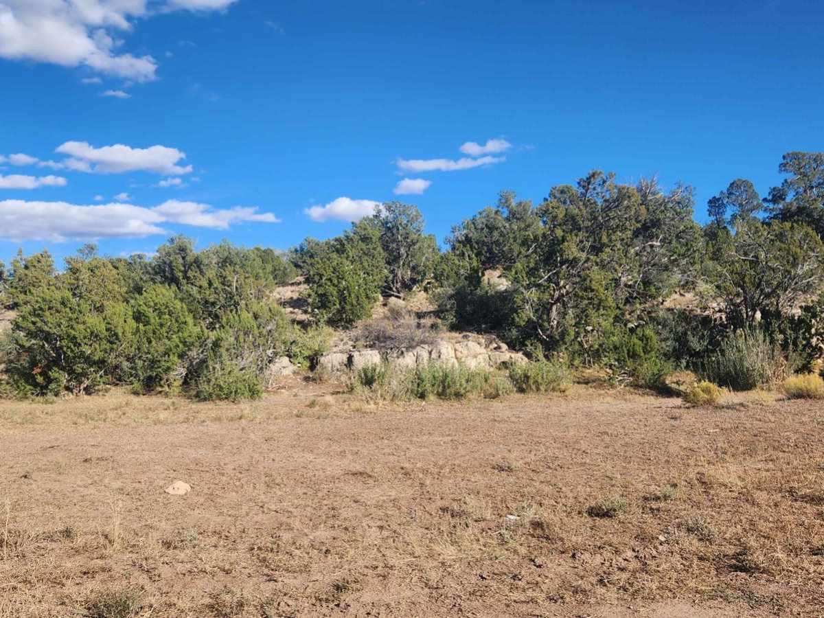 Thistle Camp trail photo