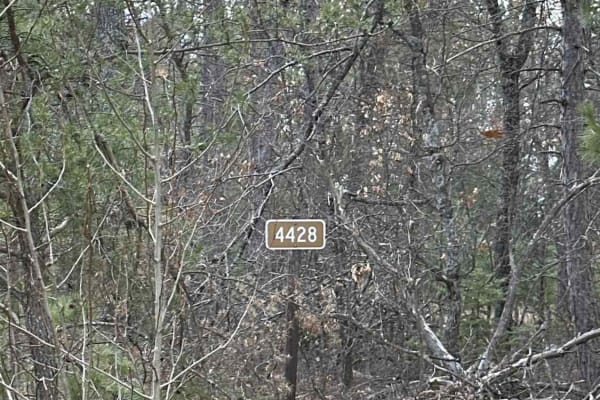 FS 4428