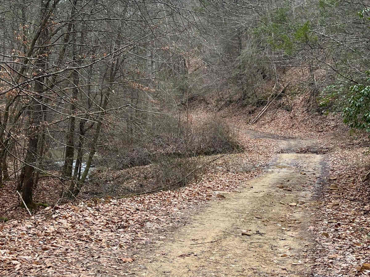 Trail 14 Cow Fork photo 2