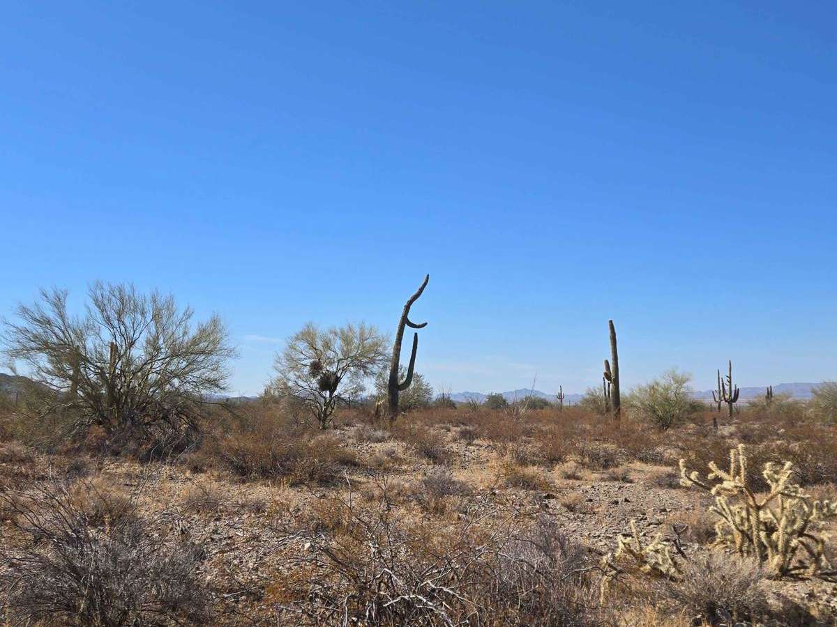 Burro Run (HS10Q) photo 4