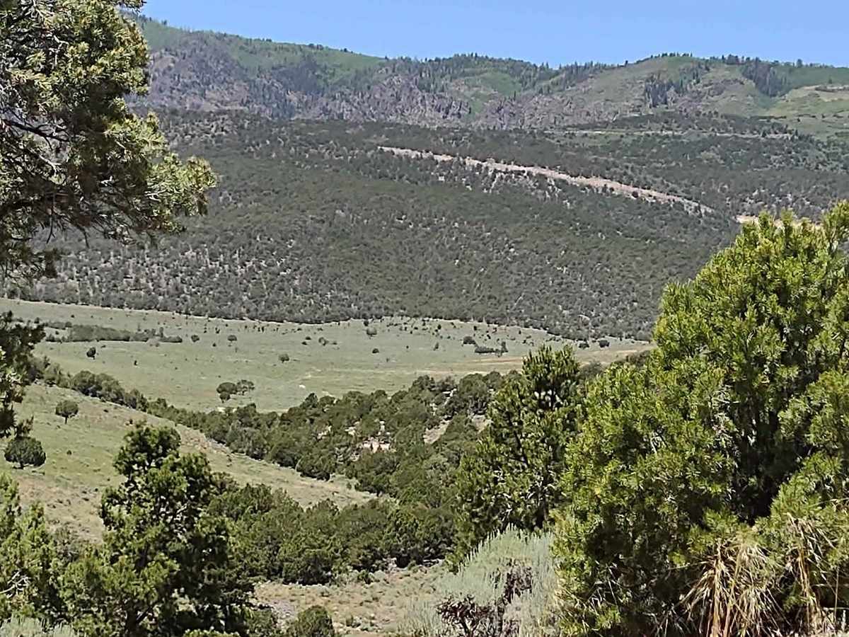 Oak Basin (FS# 40144) trail photo