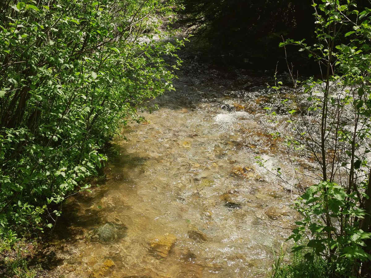 Sheep Creek photo 5